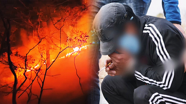 봉대산 불다람쥐